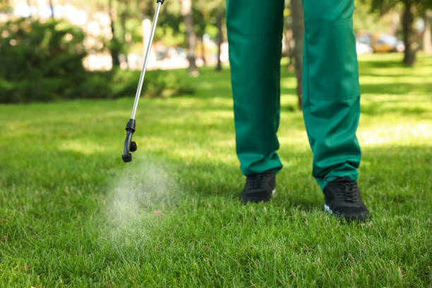 Best Commercial Pest Control Services  in West Wendover, NV