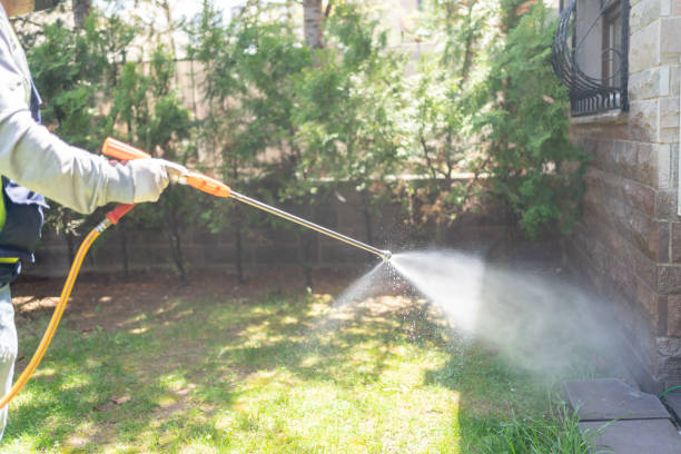 Best Termite Control Services  in West Wendover, NV