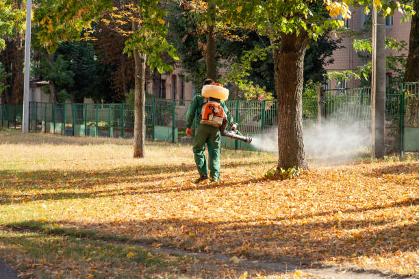 Best Mosquito Control Services  in West Wendover, NV