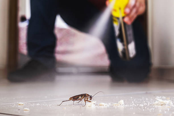 Best Exterminator Services  in West Wendover, NV