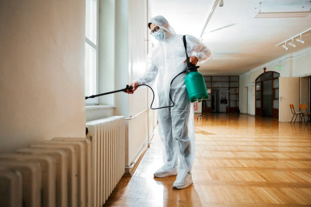Best Local Pest Control Services  in West Wendover, NV