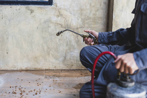 Best Affordable Pest Control Services  in West Wendover, NV